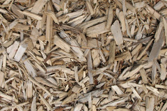 biomass boilers Whitecrook